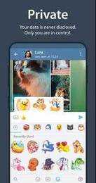 飞机app（Telegram）下载中文版