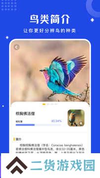 鸟语翻译器app