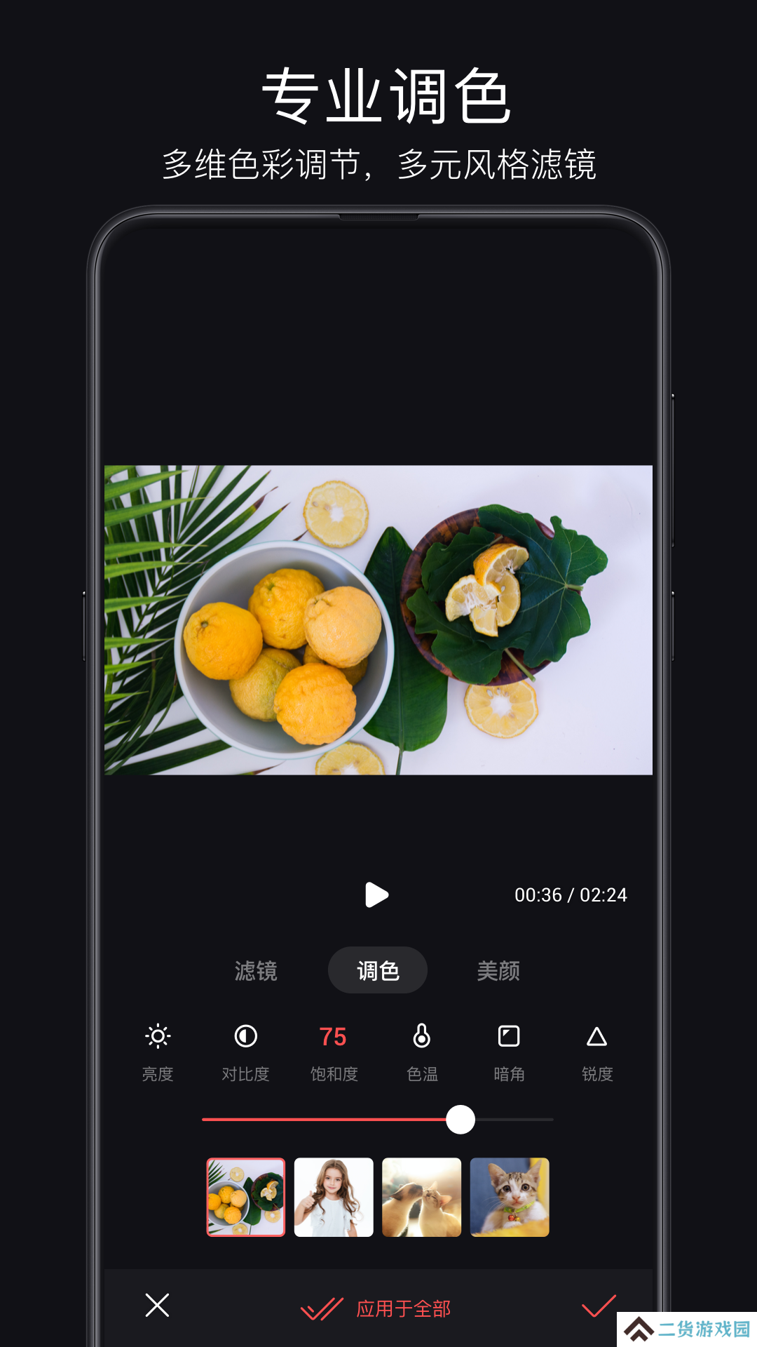 书法字典大全免费版