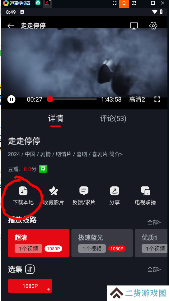 网飞猫