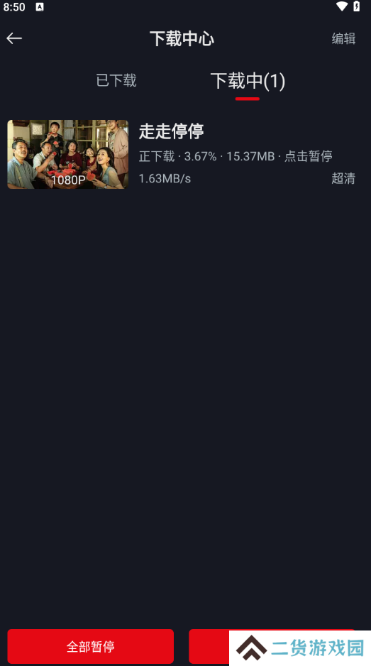 网飞猫