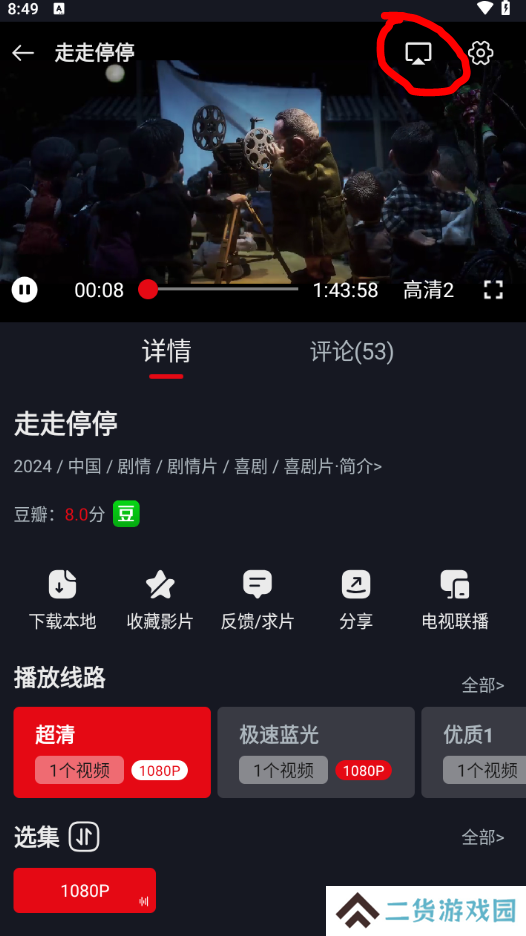 网飞猫