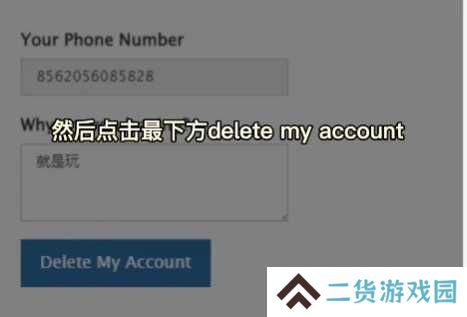 纸飞机官方