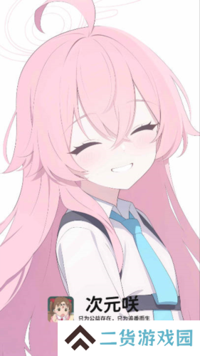 次元咲官网版